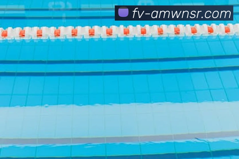 威尼斯人线上娱乐平台生态图